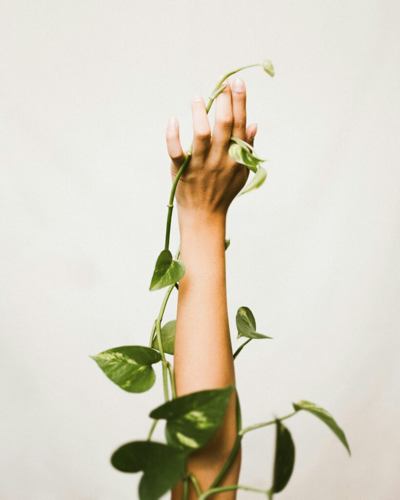 adrien-king-XzBluXxBoyQ-unsplash
