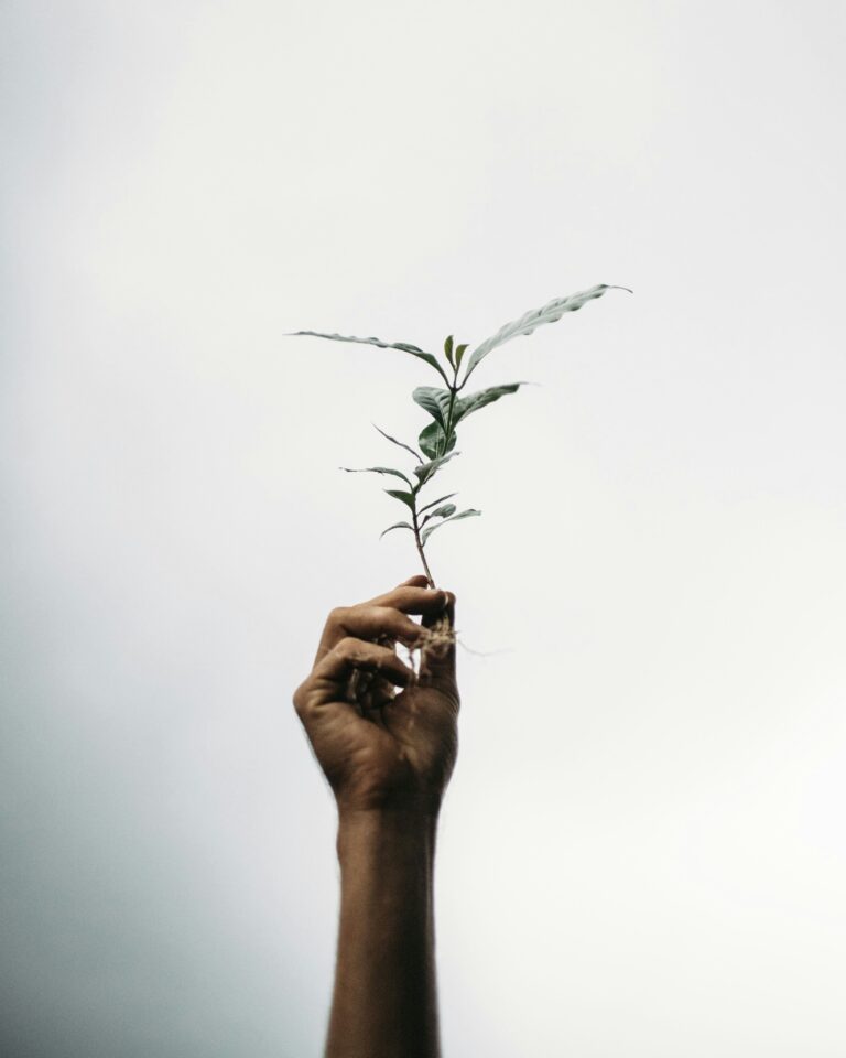 blake-wisz-sqddoTrSi6c-unsplash