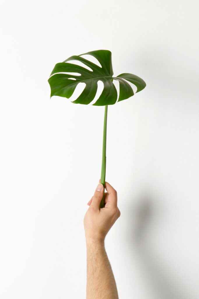 hudai-gayiran-3Od_VKcDEAA-unsplash