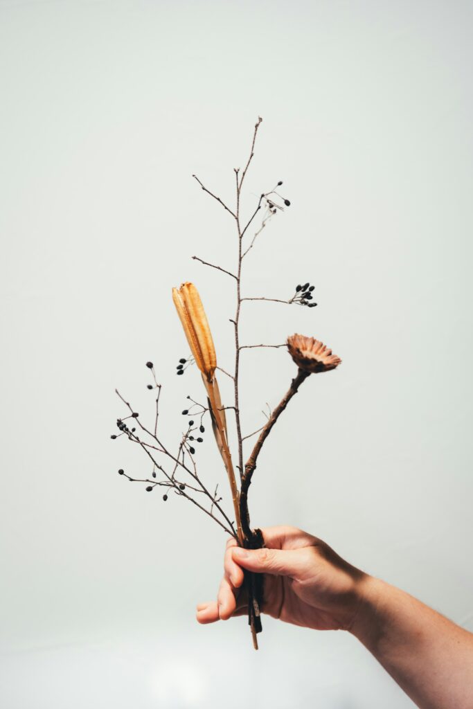 lute-KhxJTb7XRVw-unsplash