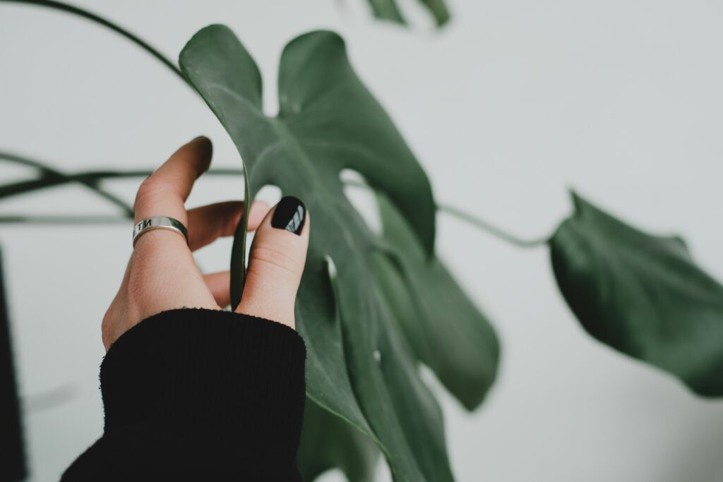 valeriia-miller-k-IfT0UGPkI-unsplash